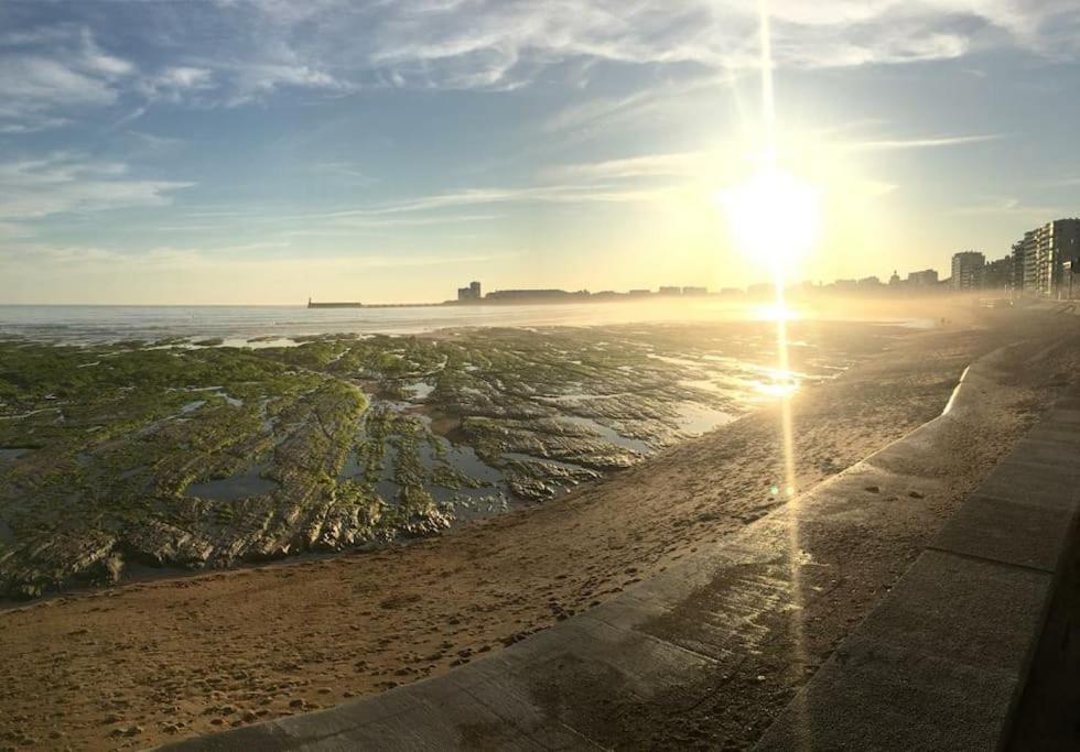 Le Cosy T2 Hypercentre ! Parking Inclus Et La Plage A 2 Min ! 莱萨布勒-多洛讷 外观 照片